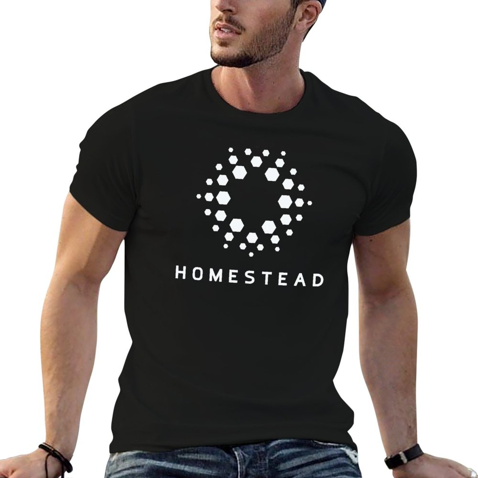 Homestead - Passengers - Light - Homestead Lighting & Decor Oconomowoc 评论和价格