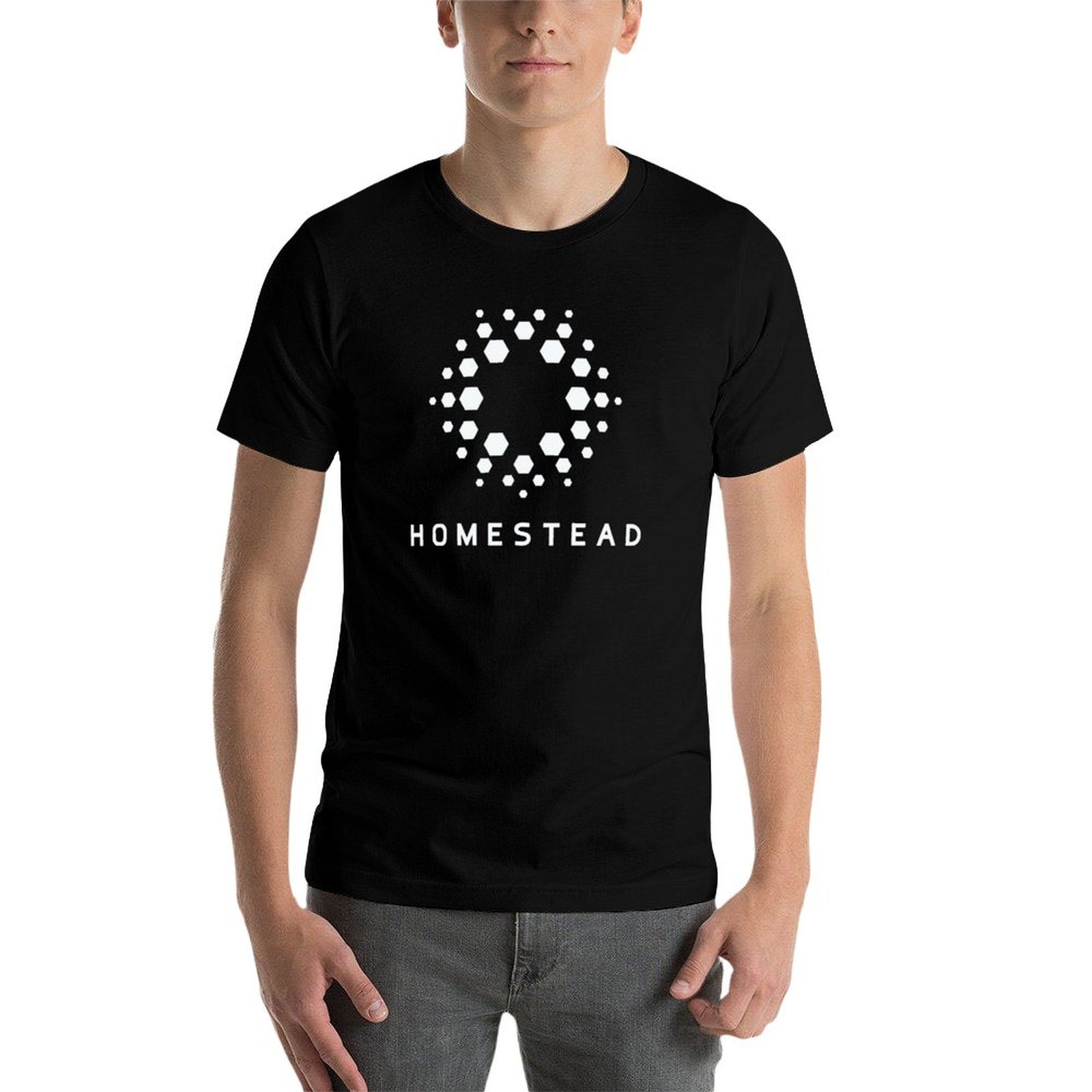 Homestead - Passengers - Light - Homestead Lighting & Decor Oconomowoc 评论和价格