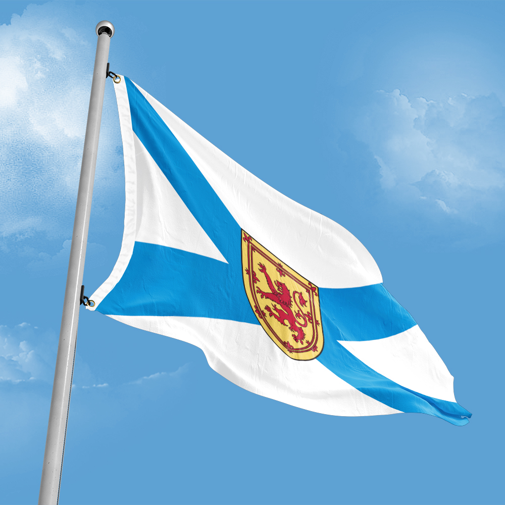 Canada Flag of Nova Scotia 3ft - Nova Decor & Lighting Juletrelys 评论和价格