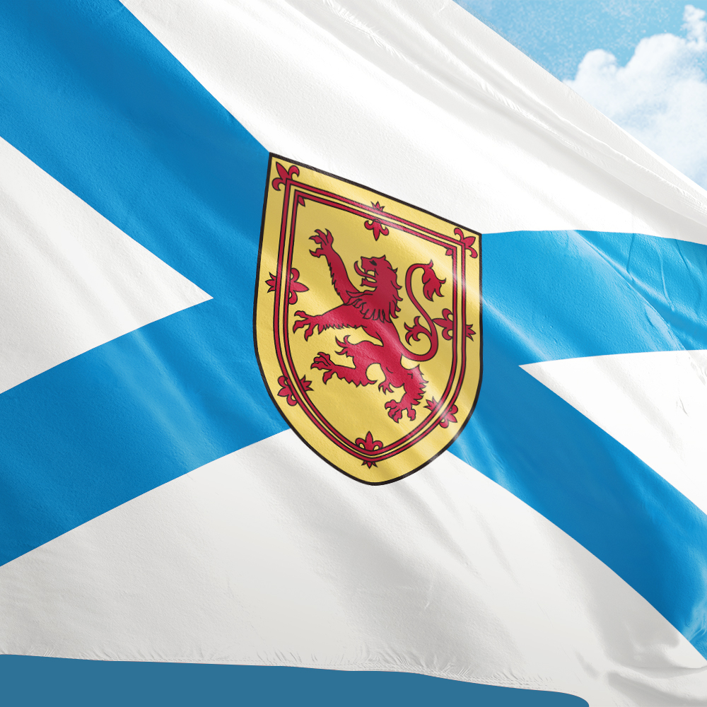 Canada Flag of Nova Scotia 3ft - Nova Decor & Lighting Juletrelys 评论和价格