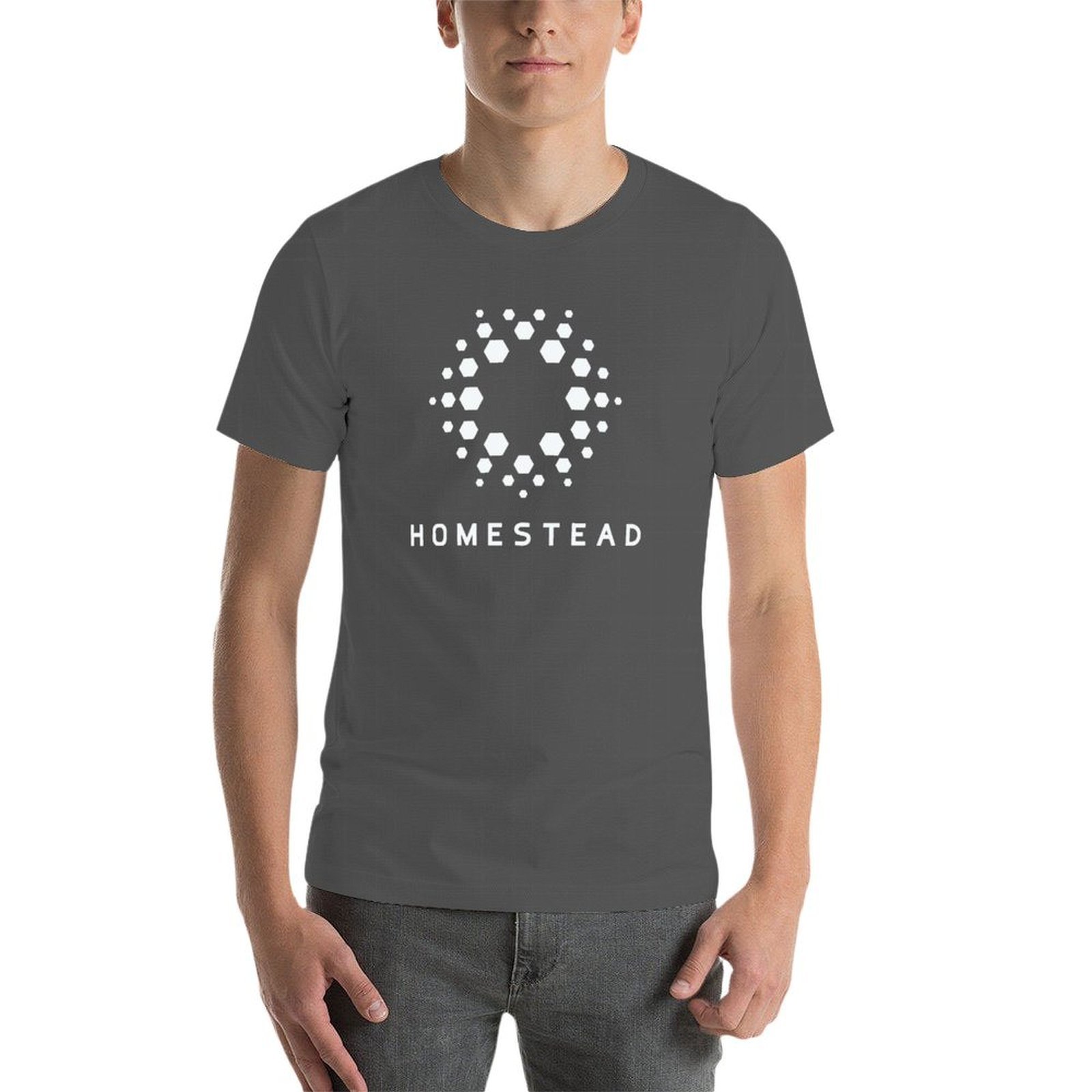 Homestead - Passengers - Light - Homestead Lighting & Decor Oconomowoc 评论和价格
